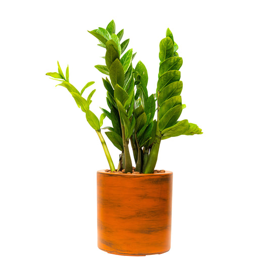 7.8 in. Painted Plastic Self-watering Planter Pot