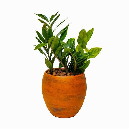 Smart Self-watering Round Planter Pot for Indoor and Outdoor - Terracotta Painted