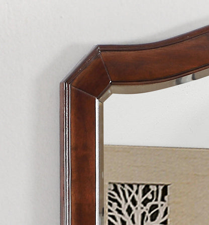 Glory Furniture Triton G9000-M Mirror , Cappuccino Home Decor by Design